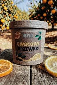OWOCOWE DRZEWKO - wosk zapachowy 120g